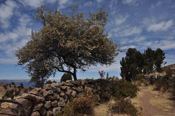 A belíssima paisagem da ilha de Taquile, no lago Titicaca, no Peru